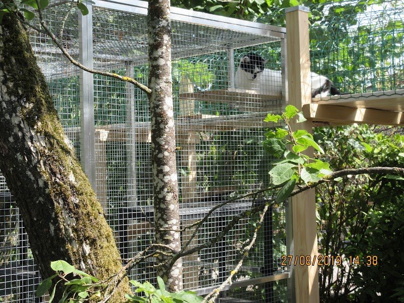 AU MATOU VAUDEVILLOIS PENSION FELINE DES JARDINS DE MARINELLE