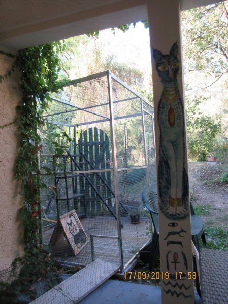 AU MATOU VAUDEVILLOIS PENSION FELINE DES JARDINS DE MARINELLE - photo 3