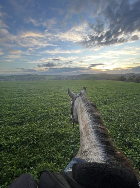 Écuries des Verts coteaux - photo 2