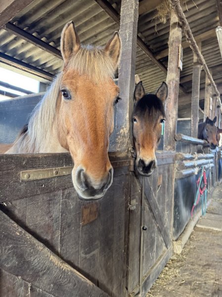 Domaine Equestre du Jardinot