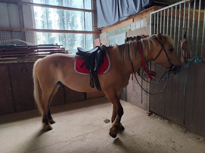 Domaine Equestre du Jardinot - photo 2