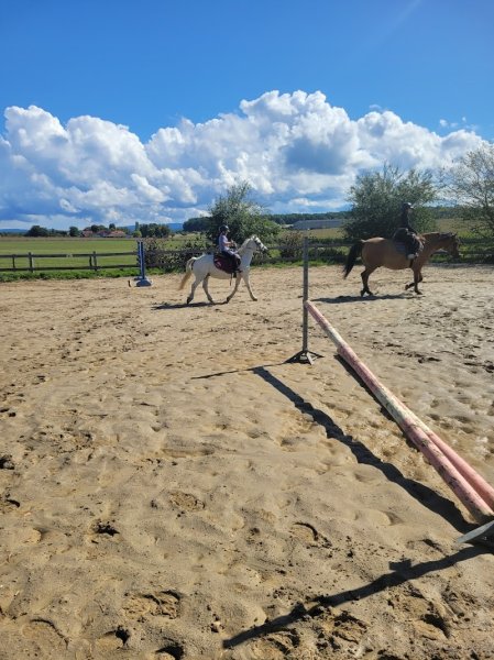 Domaine Equestre du Jardinot - photo 3