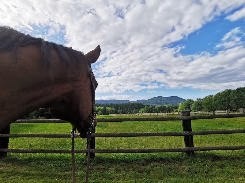 HARAS DU VAL DE GALILEE - photo 2