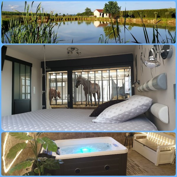 Equi-lodges: chambres insolites avec SPA pour dormir avec les chevaux avec table d'hôte, salle de réception dans les Vosges