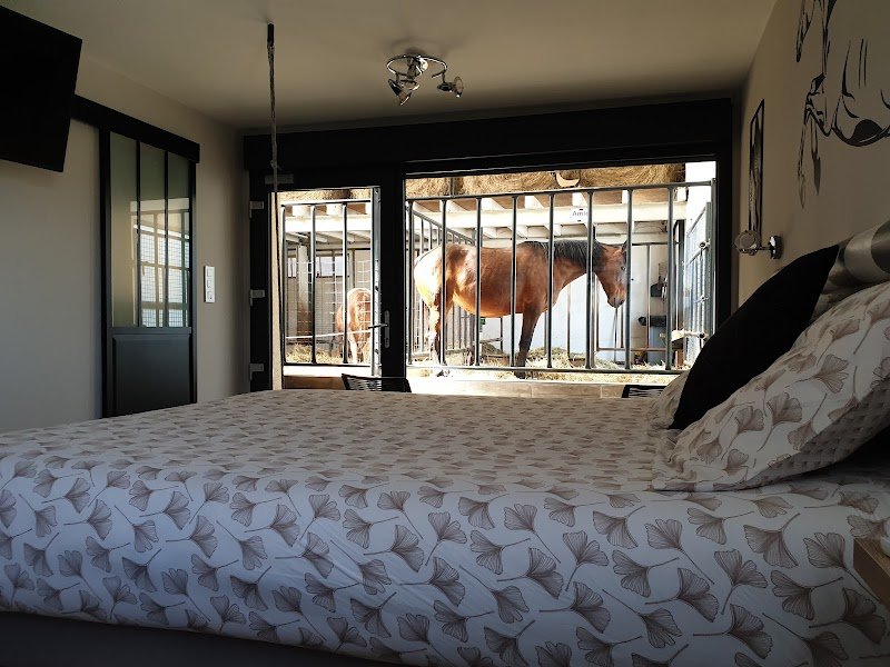 Equi-lodges: chambres insolites avec SPA pour dormir avec les chevaux avec table d'hôte, salle de réception dans les Vosges - photo 2