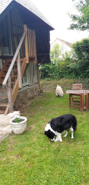 Ecuries de Beaumont - photo 3