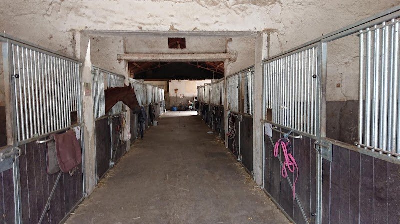 Centre équestre militaire de Thierville-sur-Meuse - photo 3