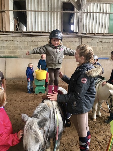 ECURIE DES REFLETS - photo 2