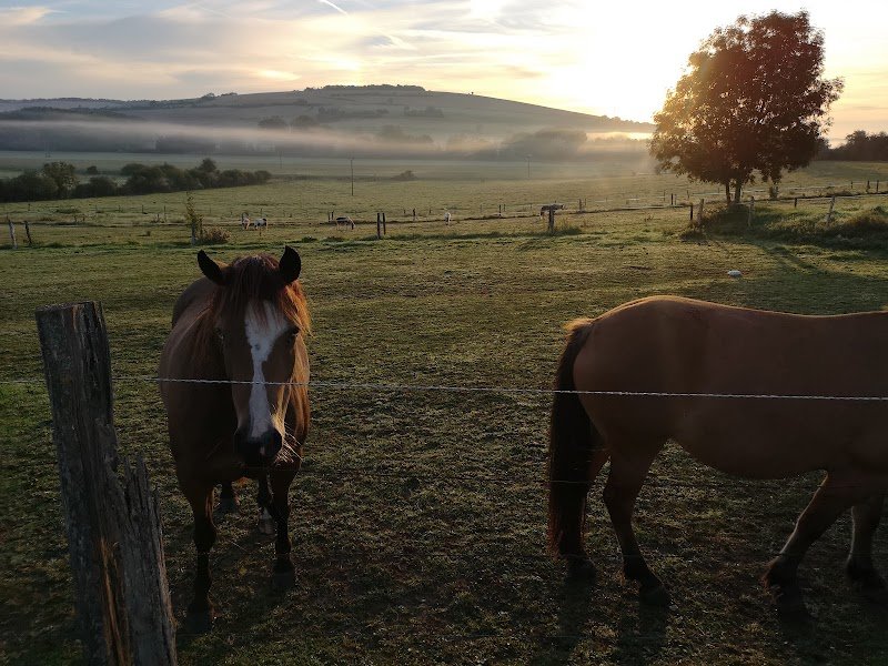 La ferme du Vallon - photo 2