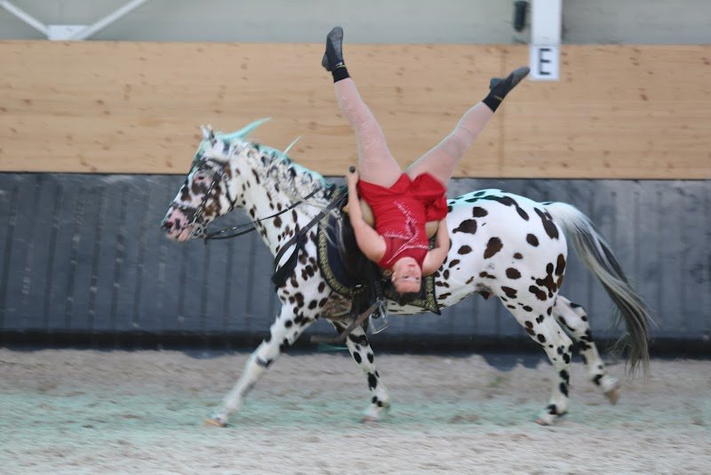 Centre Equestre de Madine - photo 3