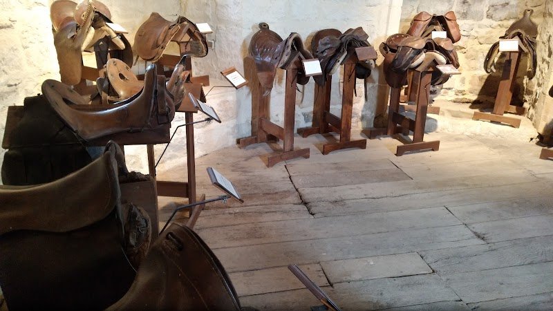 Le musée lorrain du Cheval - photo 2