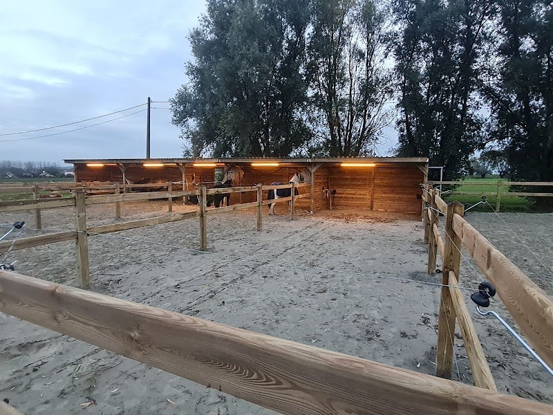 Écurie des Petits Balous - photo 2