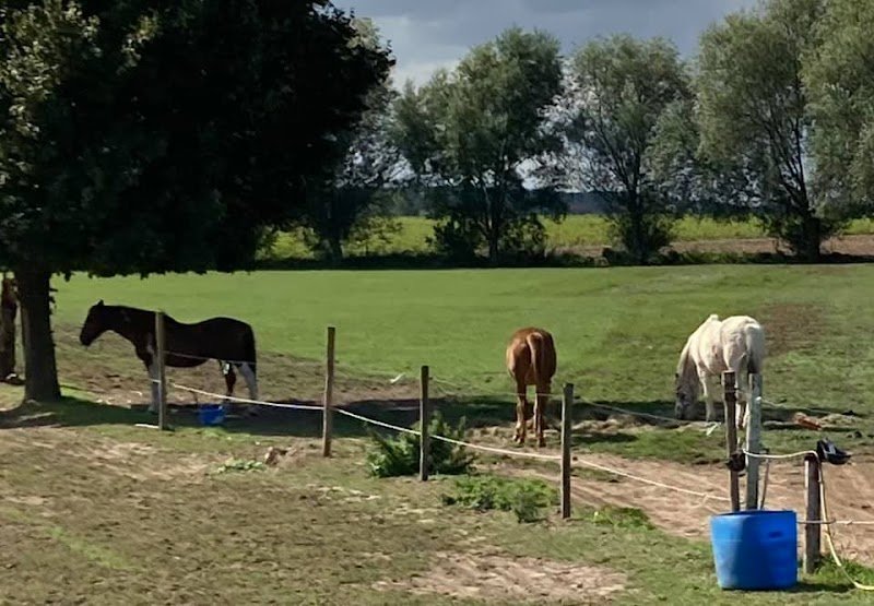Écurie des Petits Balous - photo 3