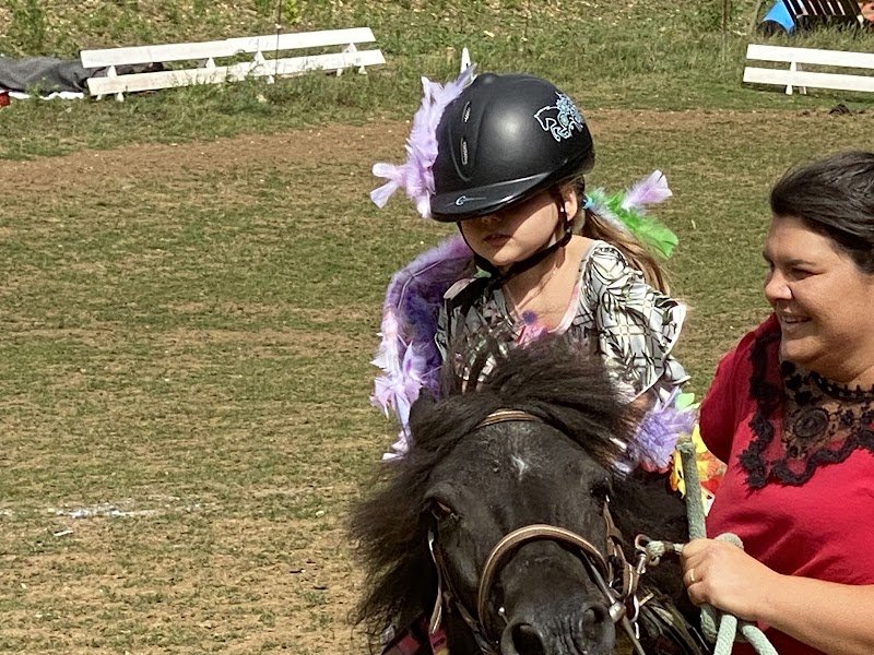 CENTRE EQUESTRE DU VAL D HIP SAULX