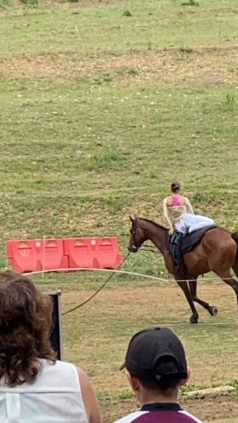 CENTRE EQUESTRE DU VAL D HIP SAULX - photo 2