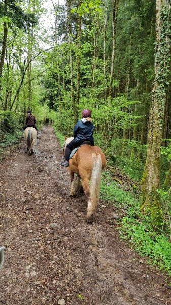 LES ÉCURIES DU CHAMP DU VENT - photo 1