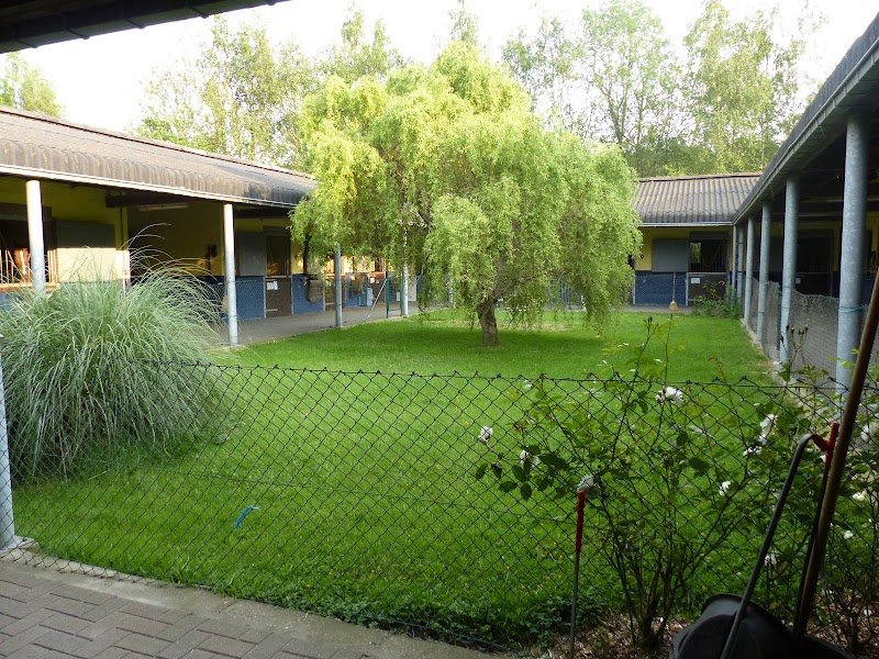 Ecurie Emilie Bonnet - photo 2