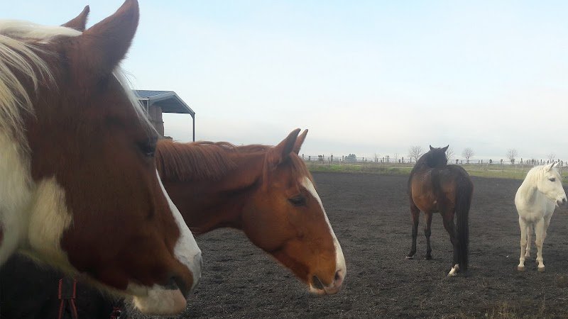 Ecuries D'houdancourt - photo 1