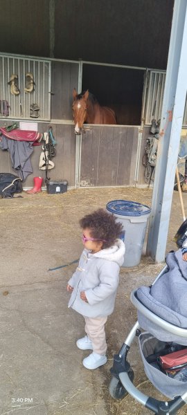 Ecuries du vieux moulin - photo 1