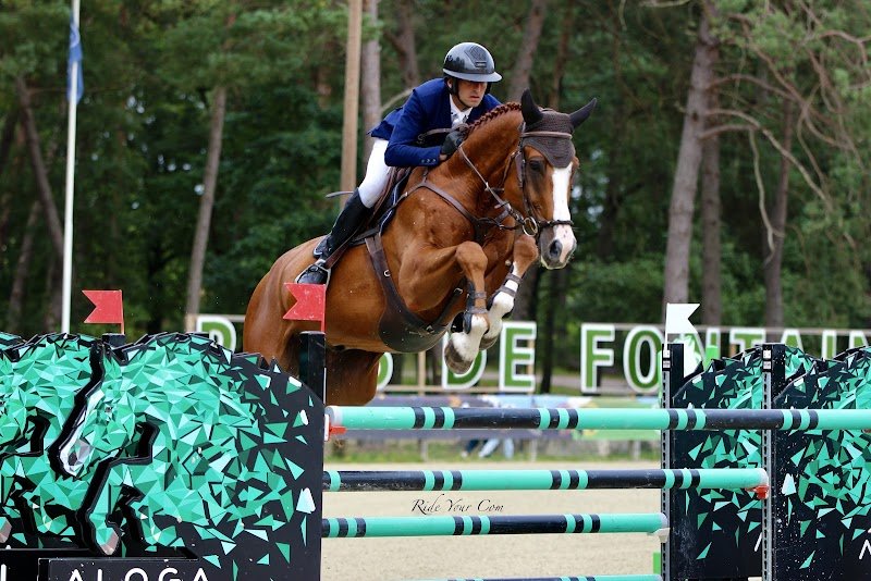 Écurie Notteau Orne Normandie - photo 1