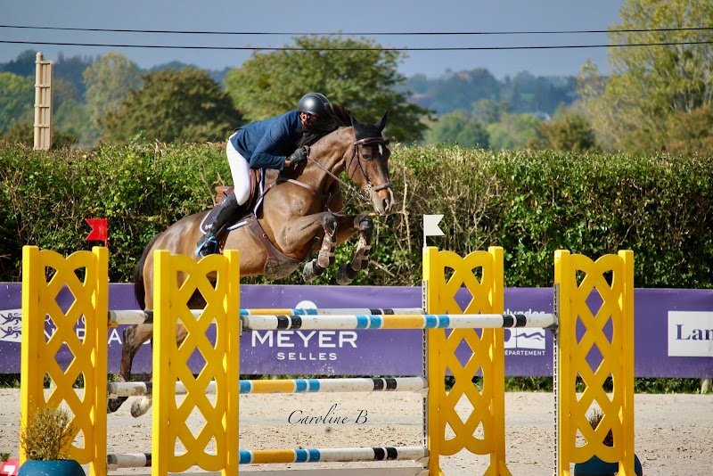 Écurie Notteau Orne Normandie - photo 2