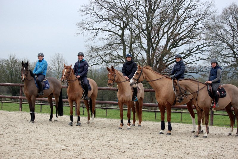 Écurie Notteau Orne Normandie - photo 3