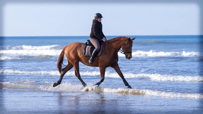 Haras De La Villiere - Orne Normandie France 61