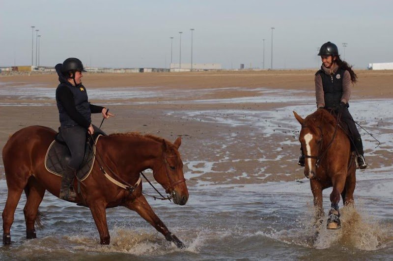 Haras De La Villiere - Orne Normandie France 61 - photo 2