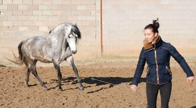 Haras De La Villiere - Orne Normandie France 61 - photo 3