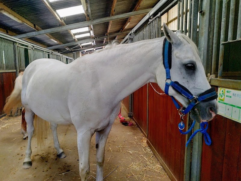 Les Ecuries de Frescaty