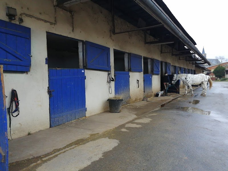 Centre Equestre de Thionville Cattenom - photo 2