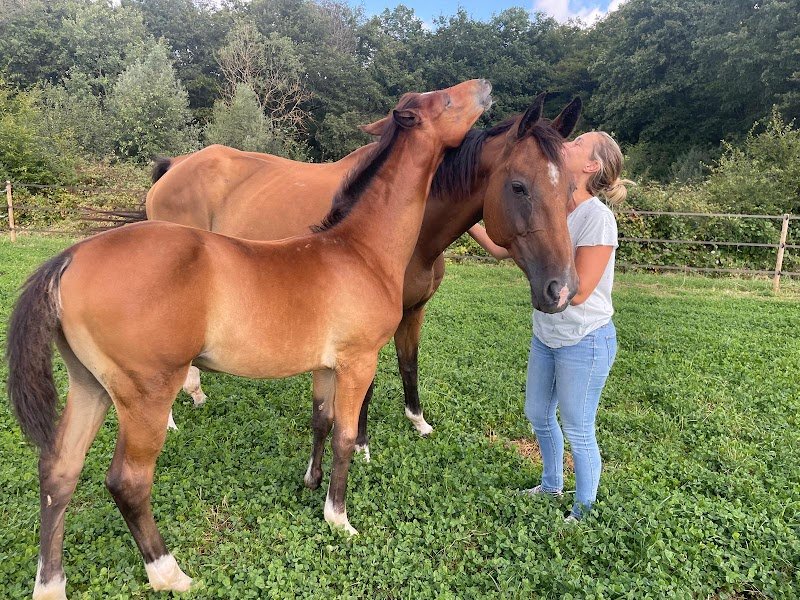 Les écuries de Catinat - photo 3