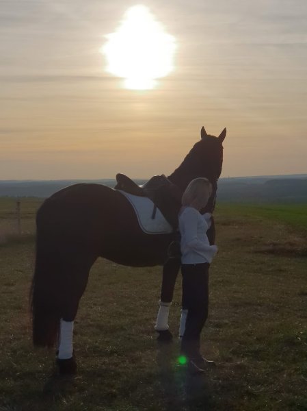 Horseland Cadenbronn - photo 2