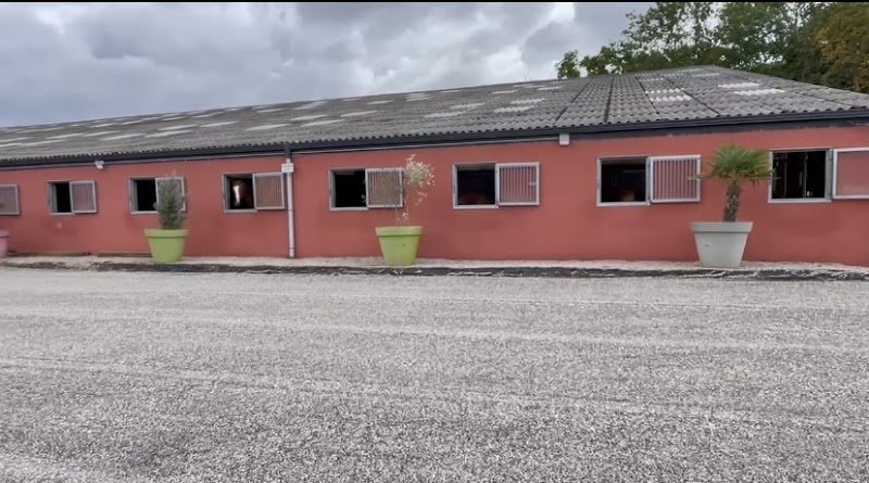 Ecurie Nicolas Houzelle - photo 2