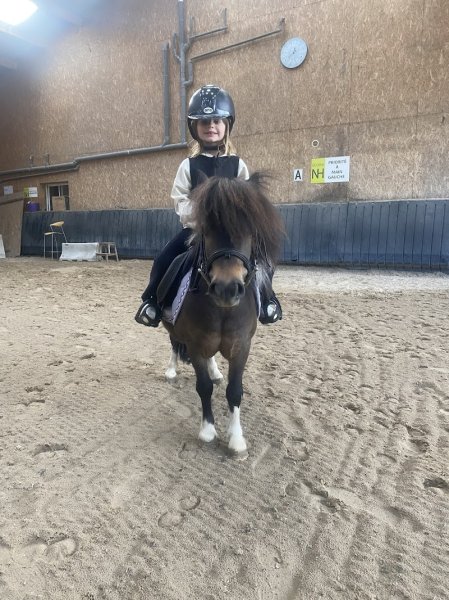 Poney Académie Audrey Houzelle - photo 1