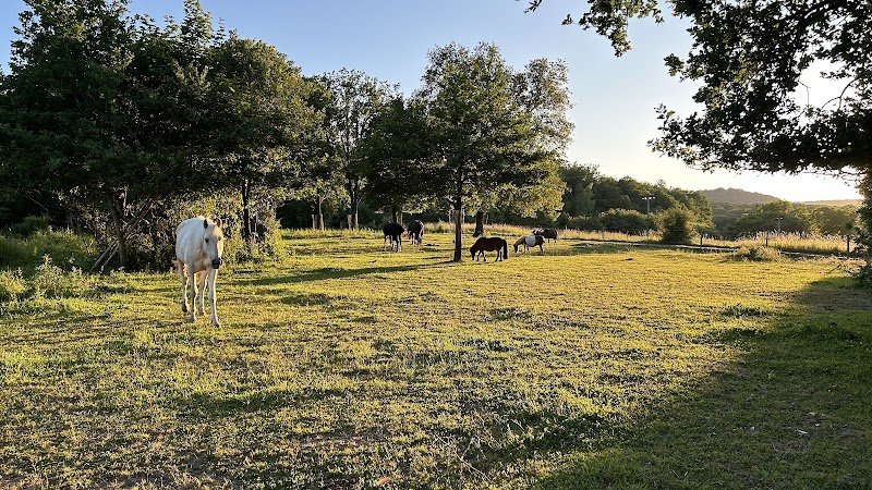 Centre équestre du Patis
