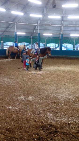 Centre équestre du Patis - photo 2