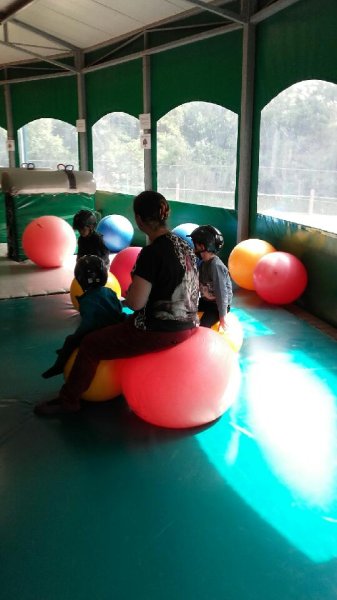 Centre équestre du Patis - photo 3