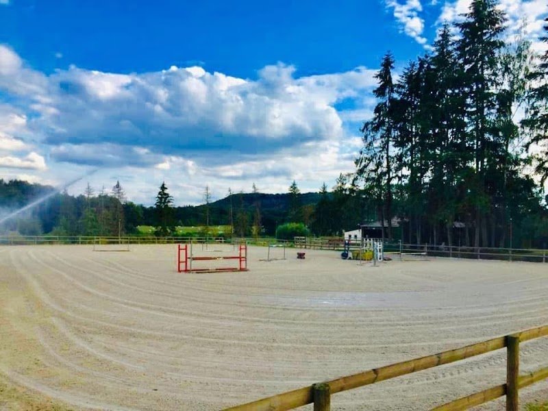 Écurie Schaefer / Élevage RMS - photo 1