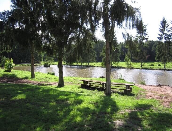 Écurie Schaefer / Élevage RMS - photo 2