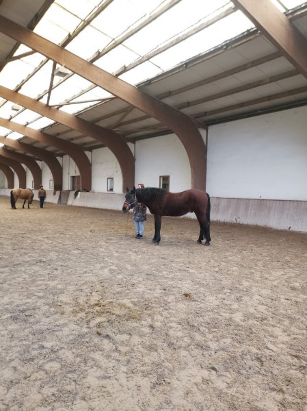 Haras du Moulin - photo 1