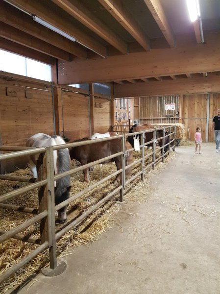 Centre équestre - photo 3