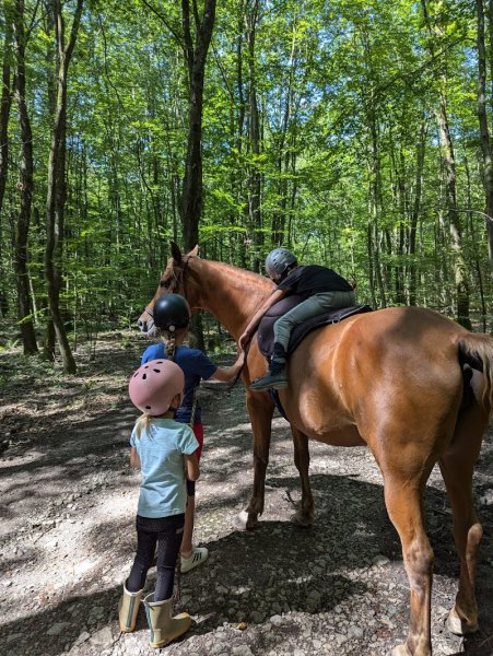 Ecurie Au Cheval Bleu - Samira Sadat Pferdegestützte Therapie