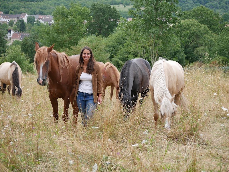 Ecurie Au Cheval Bleu - Samira Sadat Pferdegestützte Therapie - photo 2