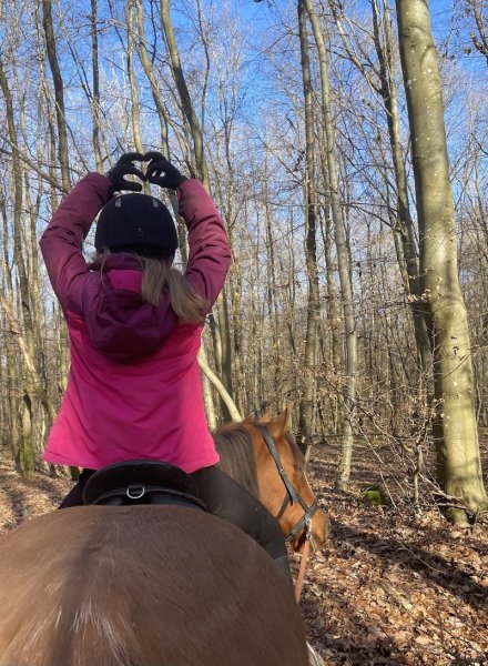 Ecurie Au Cheval Bleu - Samira Sadat Pferdegestützte Therapie - photo 3