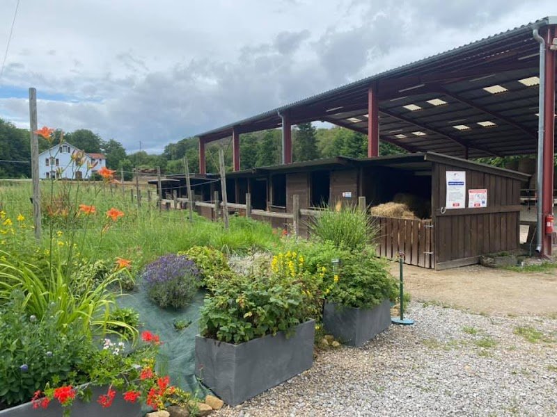 Les écuries D'orphée - photo 2