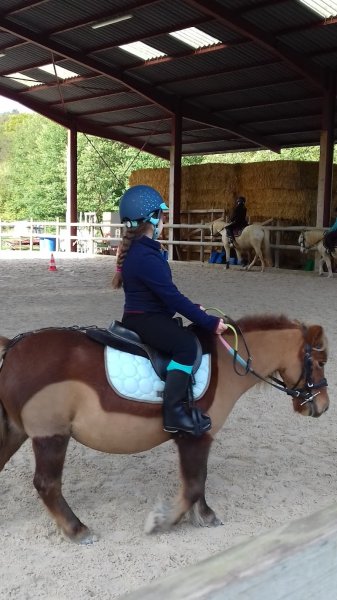 Les écuries D'orphée - photo 3