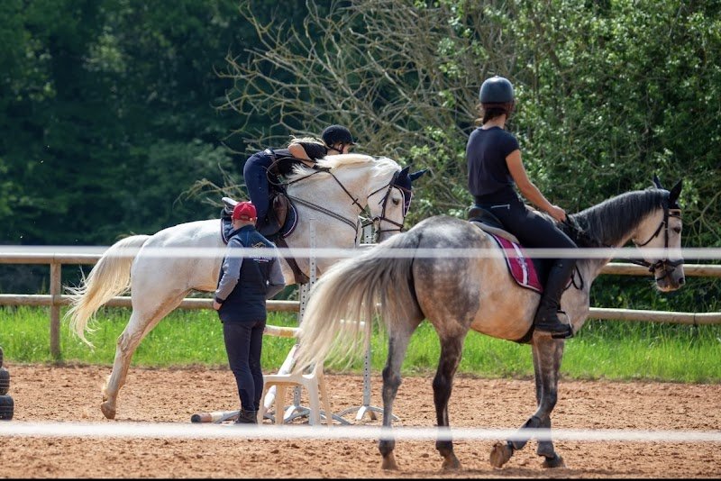 Ecurie du Grand Pré , centre équestre de Faulquemont - photo 2