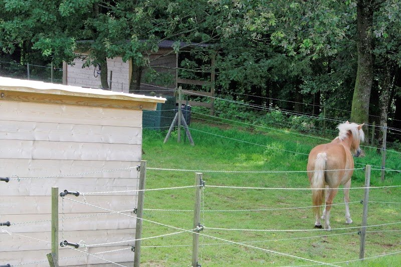 Ecurie de la Colline Vivante - photo 2