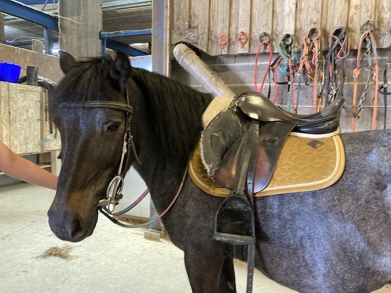 Ecurie Guillaume Mayer